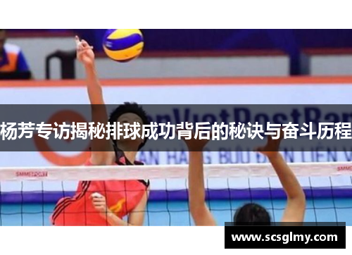 杨芳专访揭秘排球成功背后的秘诀与奋斗历程