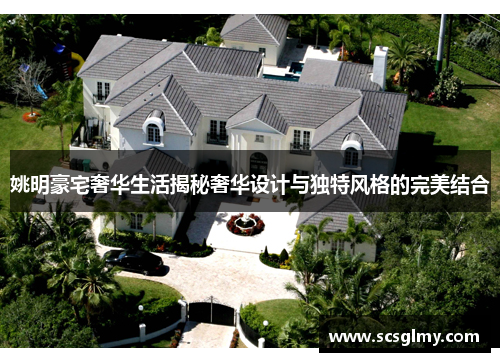 姚明豪宅奢华生活揭秘奢华设计与独特风格的完美结合