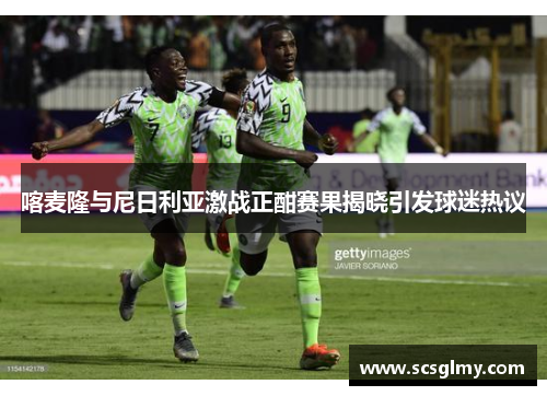 喀麦隆与尼日利亚激战正酣赛果揭晓引发球迷热议
